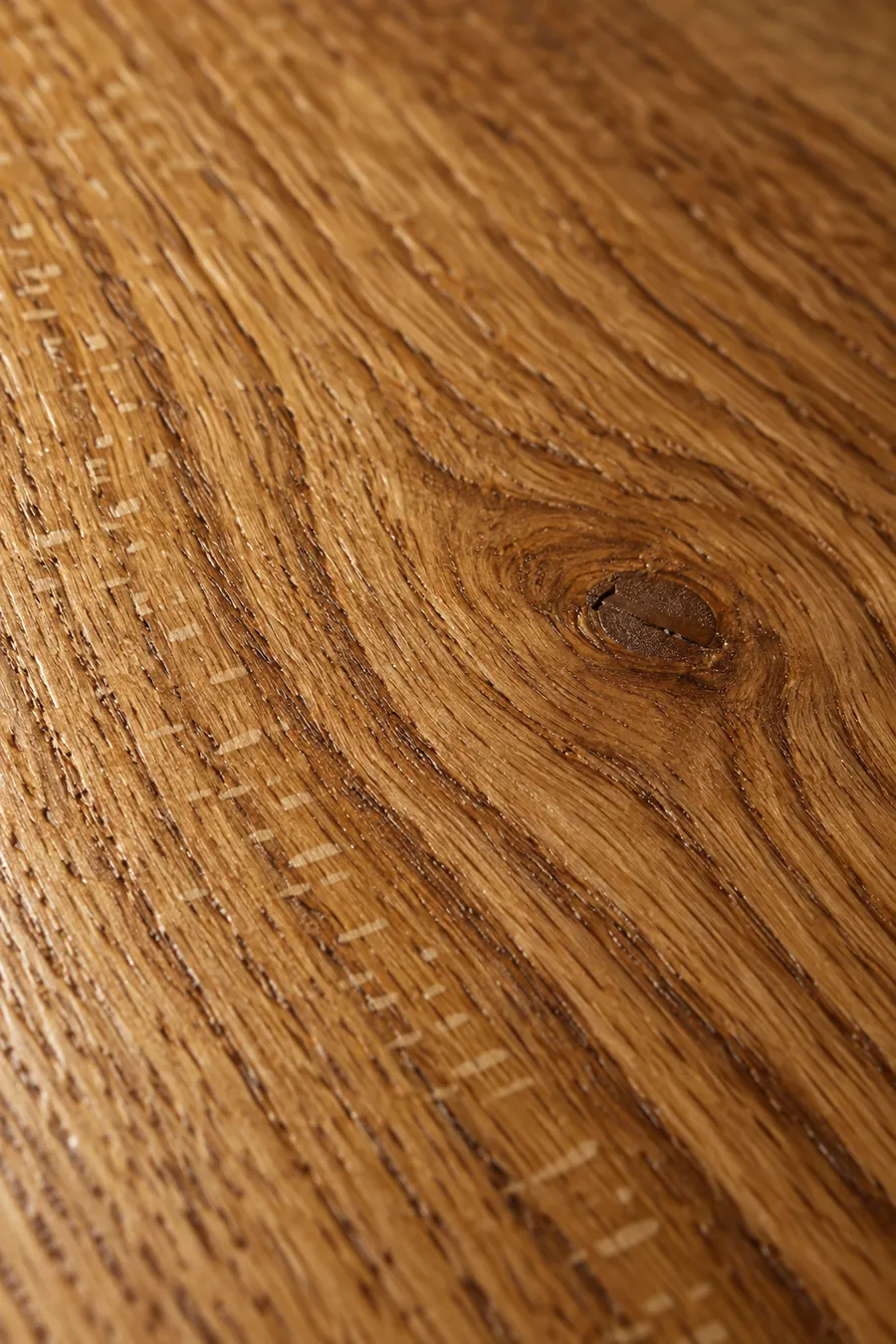 Close-up of planed English oak showing open grain and ray fleck